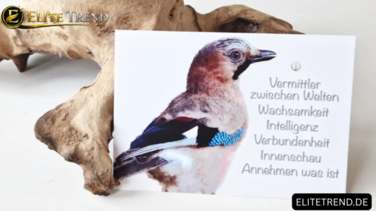 Krafttier Eichelhäher